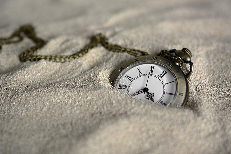 Time Pioneers and Temporal Explorers